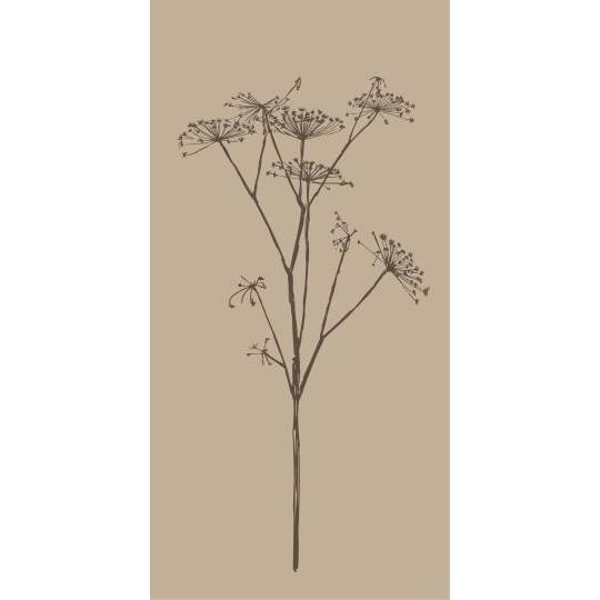 Beige Flower Paper Napkins 16Pk