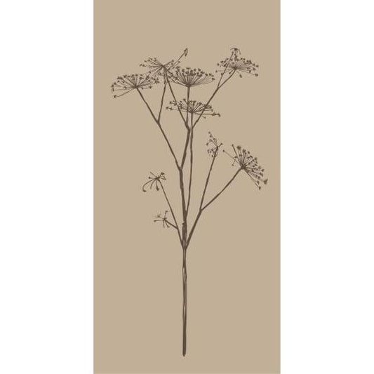 Beige Flower Paper Napkins 16Pk
