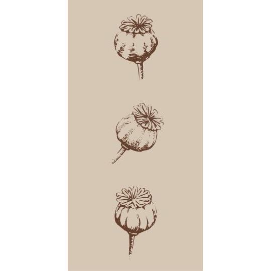 Poppy Pod Napkins 16Pk