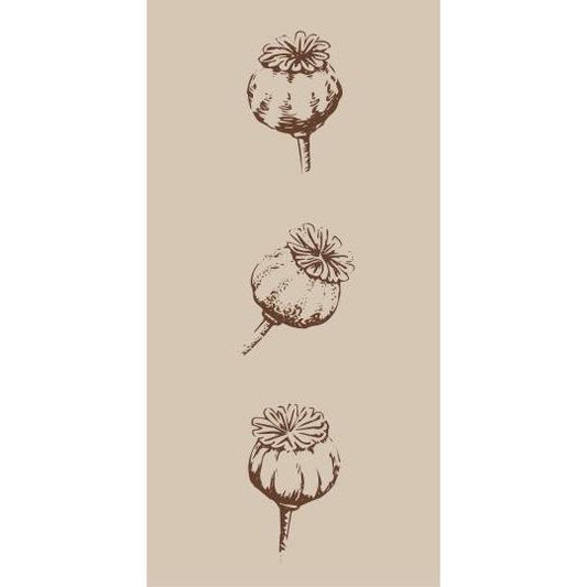 Poppy Pod Napkins 16Pk