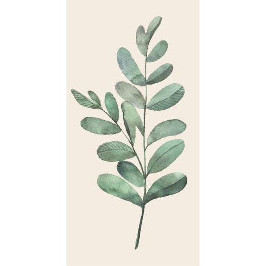 Olive Branch Napkins 16Pk