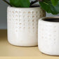 Frida Cream Glaze Plant Pot 14.5cm