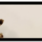Dried Flowers Bar Mat