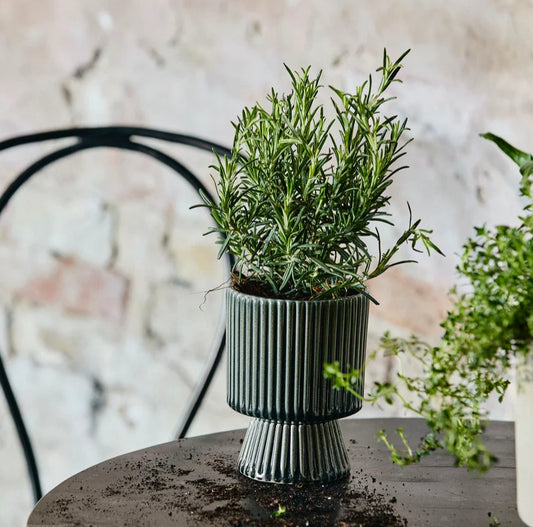 Ribbed Dark Grey Plant Pot 14cm