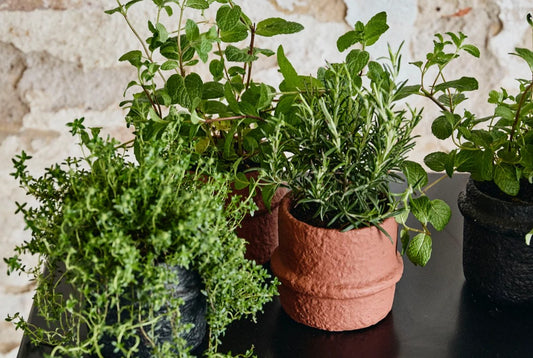 Rust Cement Pot 12cm
