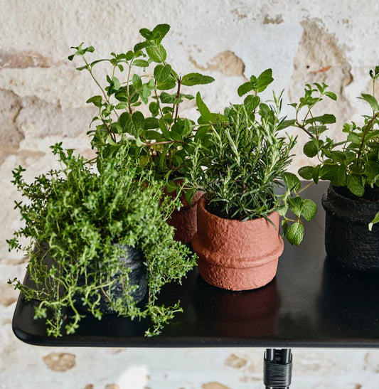 Rust Cement Pot 12cm