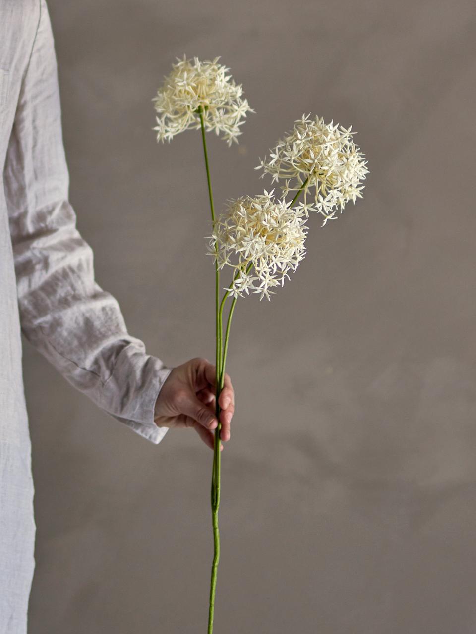 White Allium Stem 63.5cm