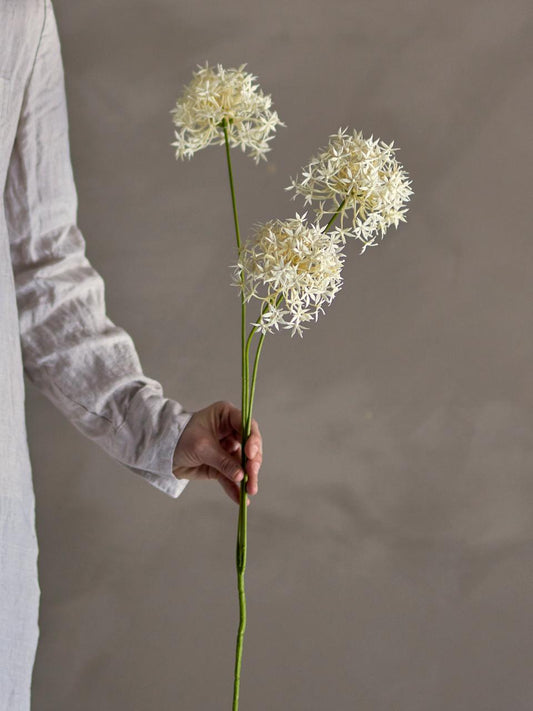White Allium Stem 63.5cm