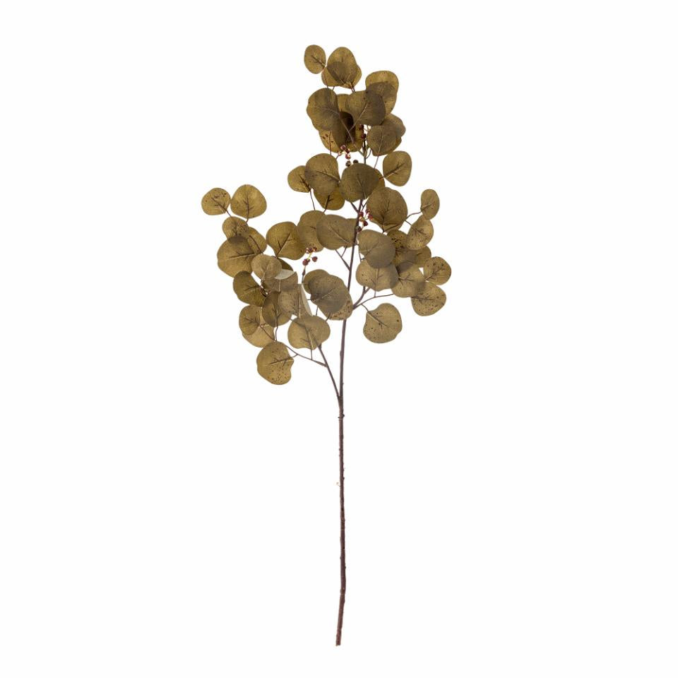 Brown Eucalyptus Stem 86cm