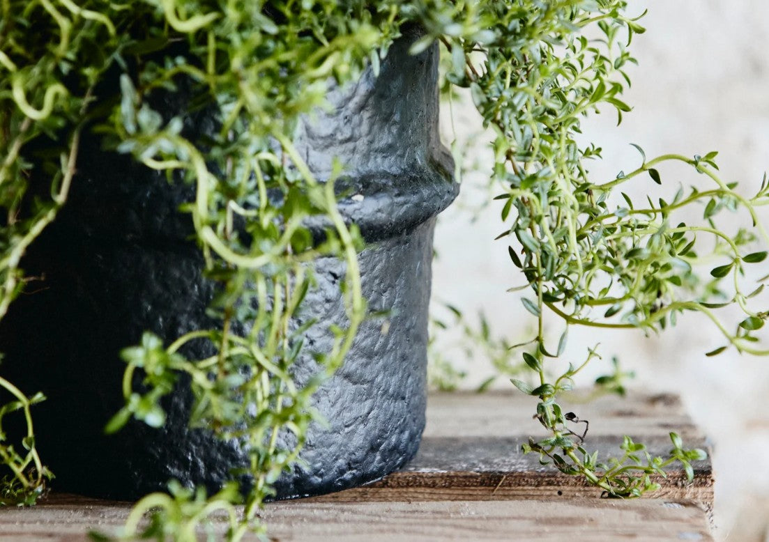 Black Cement Pot 12cm